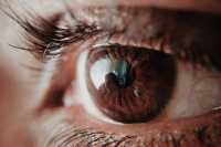 vision-eye-eyesight-opthalmology