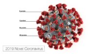 This illustration, created at the Centers for Disease Control and Prevention (CDC), reveals ultrastructural morphology exhibited by the 2019 Novel Coronavirus (2019-nCoV). Note the spikes that adorn the outer surface of the virus, which impart the look of a corona surrounding the virion, when viewed electron microscopically. In this view, the protein particles E, S, M, and HE, also located on the outer surface of the particle, have all been labeled as well. This virus was identified as the cause of an outbreak of respiratory illness first detected in Wuhan, China.