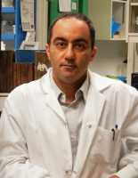 Abdi Ghaffari, Ph.D. Associate Professor (adjunct) Dept. of Pathology and Molecular Medicine Queen’s University