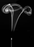 smell-olfaction