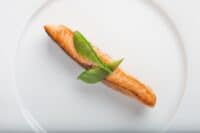 omega three fatty acids- salmon