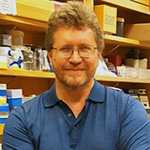 Igor Chesnoko, Ph.D Department of Biochemistry and Molecular Genetics School of Medicine University of Alabama at Birmingham, Alabama 35294