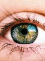 eye-eyecolor-genetics