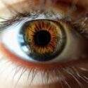eye-ophthalmology