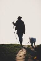 dog-walking-orthopedics