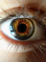 vision-eyesight-pexels-photo-801867