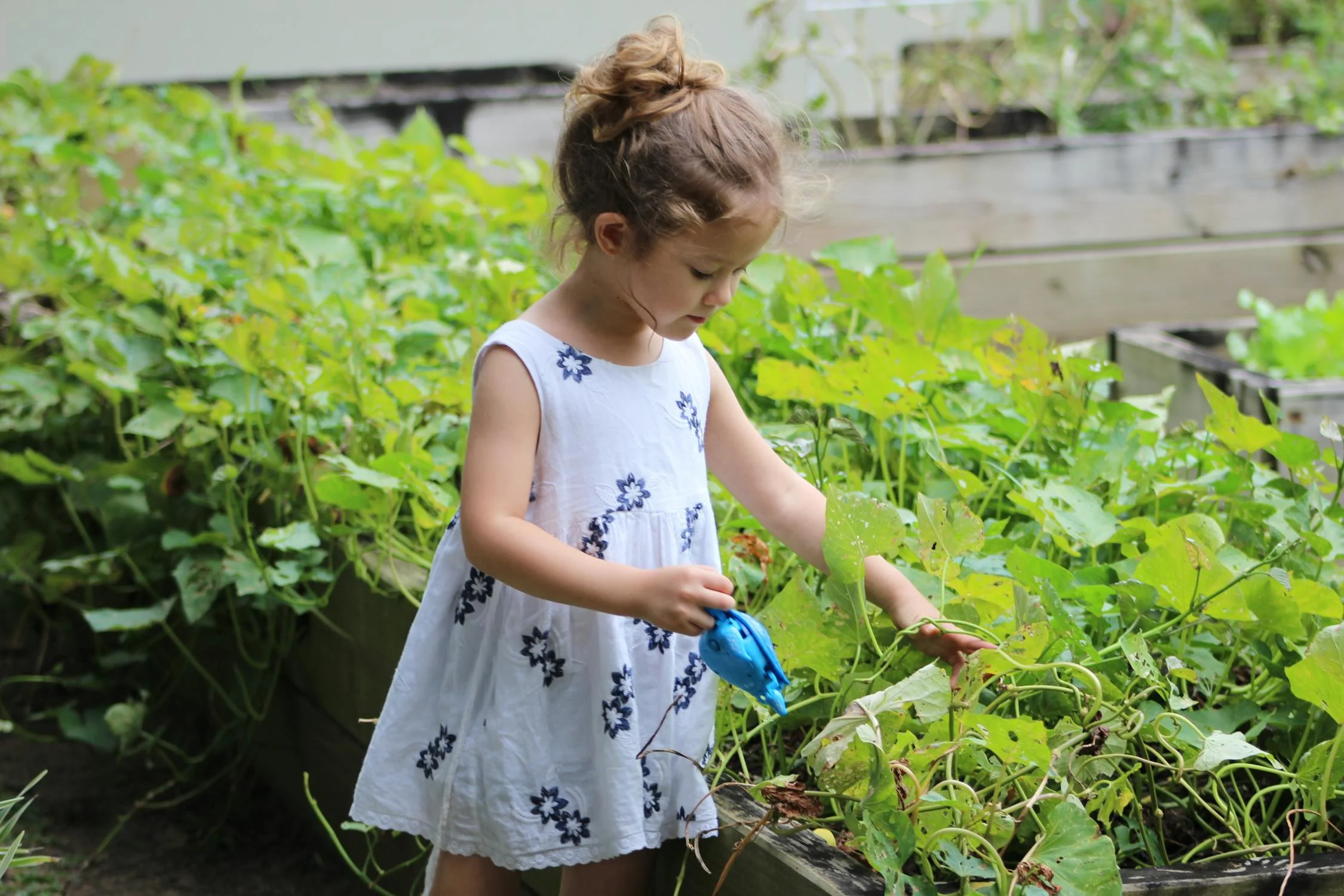 gardening-gardeners