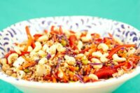 plant-proteins