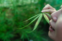 The Medical Potential of CBD and Cannabis