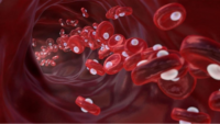red-blood-cells-transporting-oxygen.png