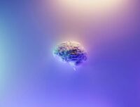 brain-and-addiction-recovery
