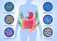 gut-brain-microbiome