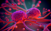 Solid Tumor Types and Oncology Resources