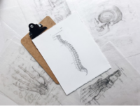 chiropractic-path-pain-relief.png