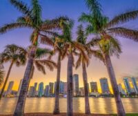 Therapist in Miami