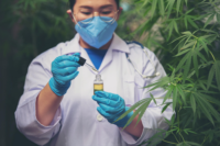 Exploring the Role of Medical Cannabis