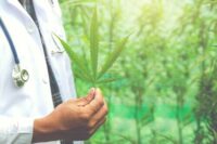 Cannabinoids and Endocannabinoids