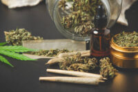 cannabis-terpenes-potential