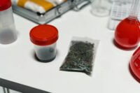 bridge-between-medicine-cannabis