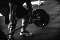 Holistic Health Is More Than a Buzzword