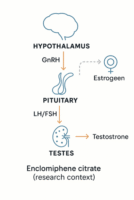 Male Hormone Restoration with Enclomiphene