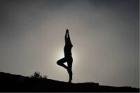 Somatic Psychotherapy