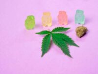 shopping cannabis products