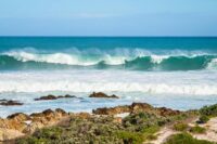 Does Climate Shape Recovery