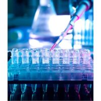Drug Combination Screening