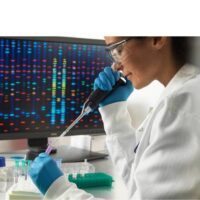 Immunohistochemistry Services