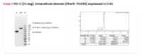protein-express-graph.png