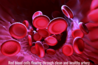 The excess calories in high-fat foods are absorbed by our bodies and stored as fat, and can cause us to gain weight over time — opening the door to obesity. Both fiber and antioxidants can counteract that effect. Scientists have reported that fiber helps control weight by reducing the amount of calories our bodies absorb. It does that by nabbing calories — speeding them through our digestive system before they can be absorbed and stored as fat. Scientists have also reported that antioxidants help control weight by providing our bodies with the energy needed to burn fat more efficiently. These actions reduce the likelihood that we will gain weight and thus lower our risk of obesity.