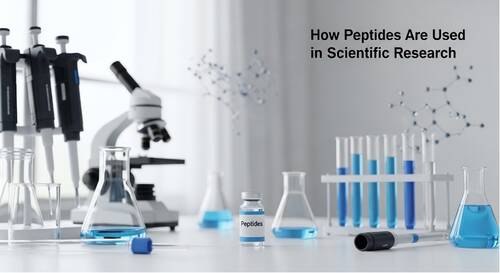 How Peptides Are Used in Scientific Research