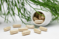 Serrapeptase