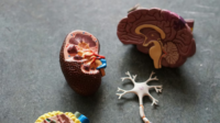 early_warning_signs_of_kidney_.png