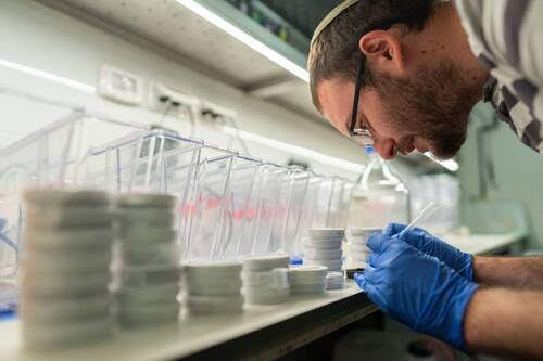 prof-itamar-harel-hebrew-univ-lab.jpg