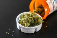 therapeutic-uses-cannabis.jpg