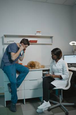 vet-writing-notes-pexels