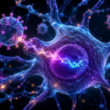 Conceptual illustration of AAV9-mediated delivery of the WWOX gene to neurons