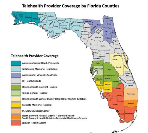 telehealth-endocrine-providers-florida