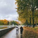 Fall Prevention After Joint Replacement Surgery