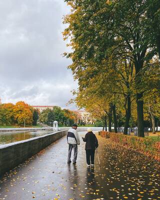 Fall Prevention After Joint Replacement Surgery