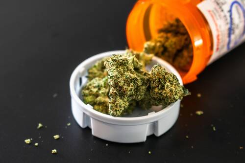 evolving-cannabis-oversight-pexels