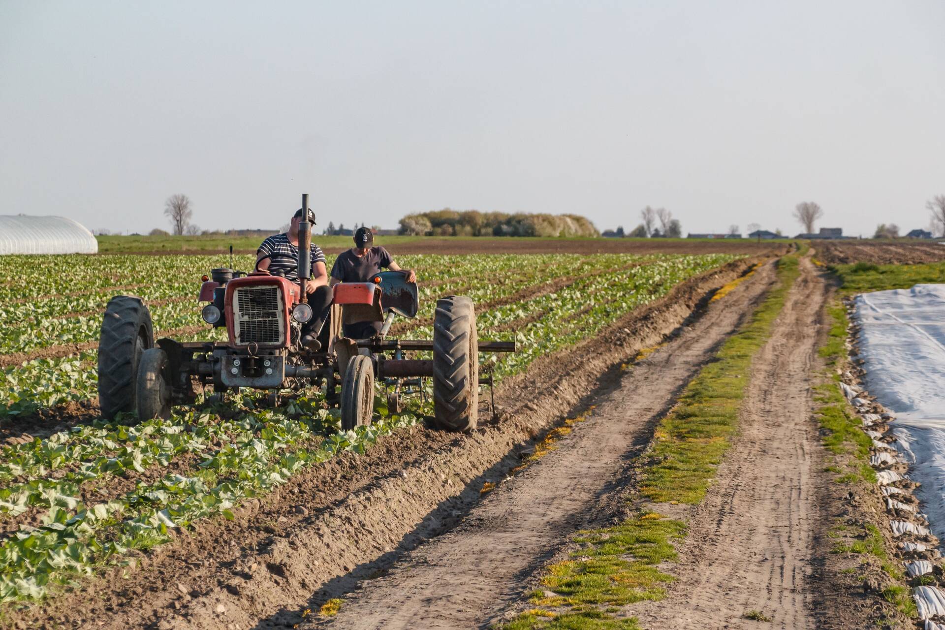 farmworkers-accidents-pexels-photo.jpg