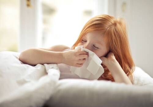 Causes Seasonal Allergies in Children