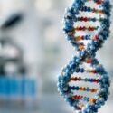 How genes shape traits