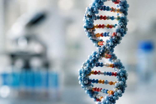 How genes shape traits