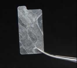 photo of Avive Soft Tissue Membrane From surgeon who uses Avive Soft Tissue Membrane: Avive™ provides a novel solution to a challenging problem. Following traumatic injury, we are often concerned with potential scarring, adhesions and tethering of the nerve. Avive™ offers a material with the ability to reduce inflammation and scarring with handling properties that are ideal for applications in nerve surgery.” - Dr. Bauback Safa The Buncke Clinic, San Francisco