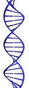 DNA-CDC-Image