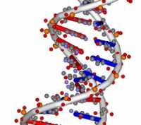 "DNA" by ghutchis is licensed under CC BY-ND 2.0 CC BY-ND 2.0